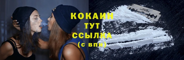 spice Каменногорск