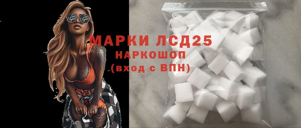 дживик Каменка