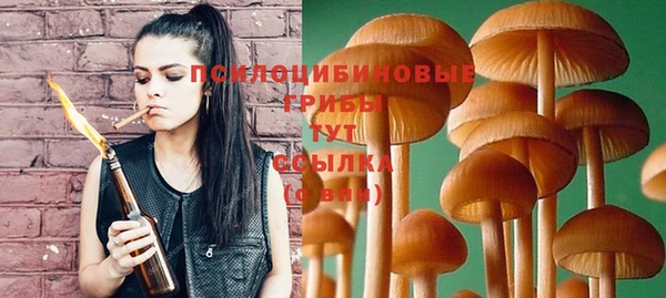 spice Каменногорск