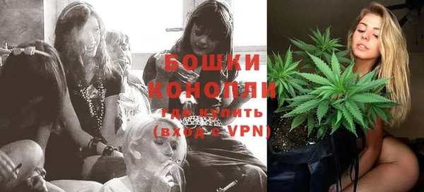 дживик Каменка