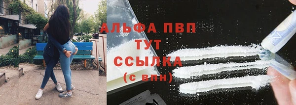 дживик Каменка