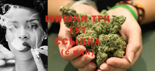дживик Каменка